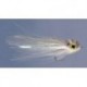 Pike RAINYS SHEEP MINNOW WAKER $6.80
