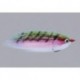 Pike RAINYS WARMWATER BAITFISH $6.80