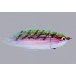 Pike RAINYS WARMWATER BAITFISH $6.80