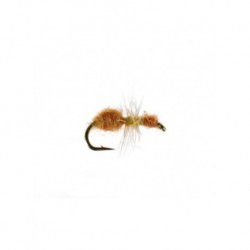 Dries Cinnamon ant $2.50