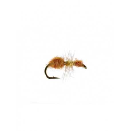 Dries Cinnamon ant $2.50