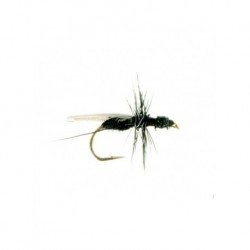 Terrestrials Flying ant black $3.00
