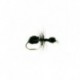 Dries ant black $2.50