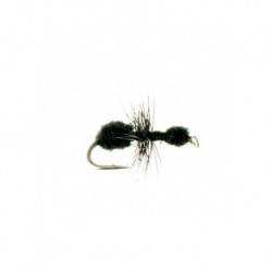 Dries ant black $2.50