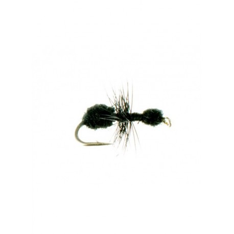 Dries ant black $2.50