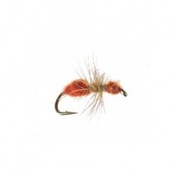 Dries Rust brown ant $2.50