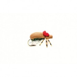 Terrestrials beetle foam $3.00