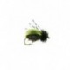 Terrestrials beetle kiwi $3.00