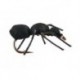 Terrestrials Black Ant $3.00