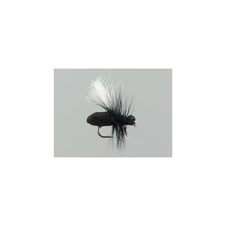 Terrestrials Black Ant Hw $3.00