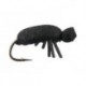 Terrestrials Black Beetle $3.00
