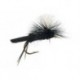 Dries Black Magic $2.50