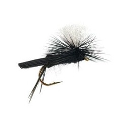 Dries Black Magic $2.50