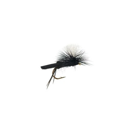 Dries Black Magic $2.50