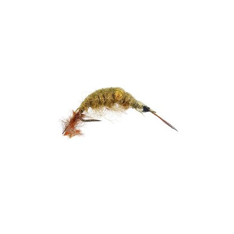Barbless Flies Classic Gammarus Olive Bead BL $2.50