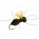 Terrestrials Carpenter Ant (Black) $3.00