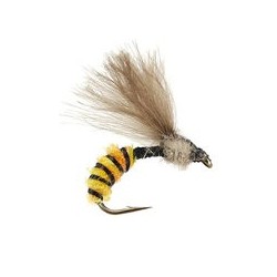 Terrestrials CDC Catching Wasp $3.00