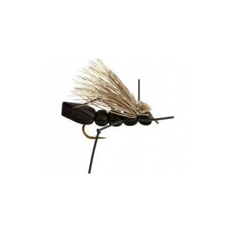 Terrestrials cricket foam $2.99