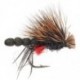 Terrestrials fly new placeholder $2.99