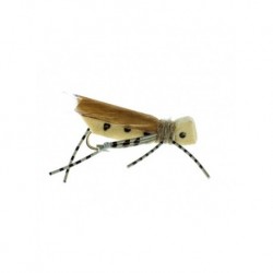 Terrestrials grand hopper cream $2.99