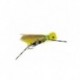 Terrestrials grand hopper yellow $2.99