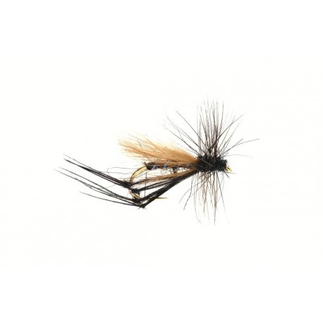 Terrestrials Hawthorn Suspender $2.99