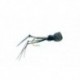 Terrestrials Hawthorne $2.99