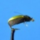 Terrestrials Kiwi Beetle $2.99
