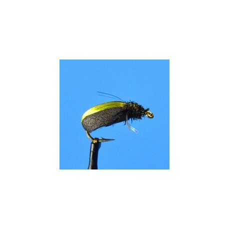 Terrestrials Kiwi Beetle $2.99