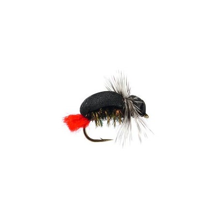 Terrestrials Nishawa Witch $2.99