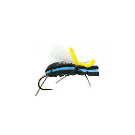 Terrestrials Raspinis Escarabajo $2.99