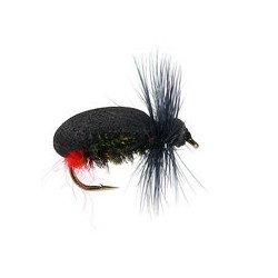 Terrestrials Red Butt $2.99
