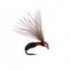 Terrestrials Smooth Black Red Ant $2.99