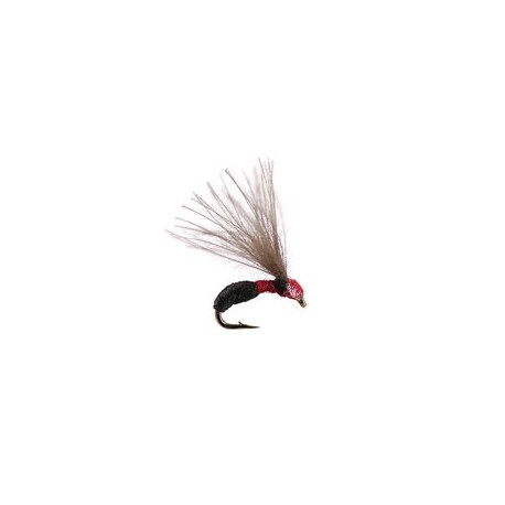 Terrestrials Smooth Black Red Ant $2.99