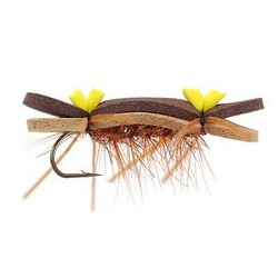 Terrestrials Tonis Bright Brown Superb Chernobyl Ant $2.99