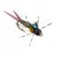 Beaded Nymphs Copperback Stone  Copper $2.50