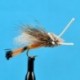 Terrestrials Turks Turantula $2.99
