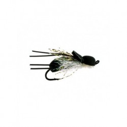 Terrestrials moth $2.99