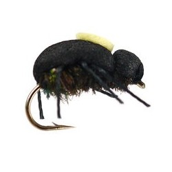 Terrestrials Peacock Beetle $2.99