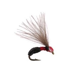 Terrestrials Smooth Black Red Ant $2.99
