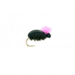 Terrestrials Target Beetle Pink $2.99