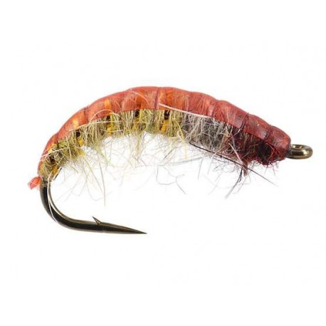 Czech Nymps and Gamarus czech nymph superb terra $2.50