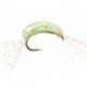 Czech Nymps and Gamarus gammarus epoxy natural green flash $2.50