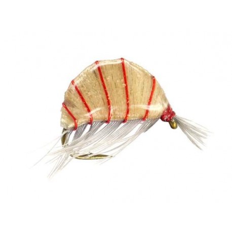 Czech Nymps and Gamarus heavy epoxy shrimp natural $2.50