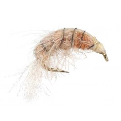 Czech Nymps and Gamarus natural gammarus $2.50