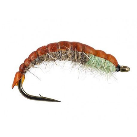 Czech Nymps and Gamarus peters favourite czech nymph $2.50