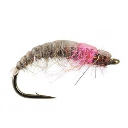 Czech Nymps and Gamarus pink catching czech nymph $2.50