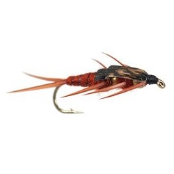 Beaded Nymphs Double BH Brown Stonefly $2.50