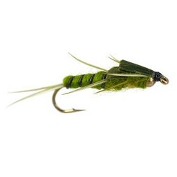 Beaded Nymphs Double BH Green Stonefly $2.50