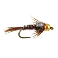 Tungsten Nymphs bh sparkle back pheasant tail $3.00